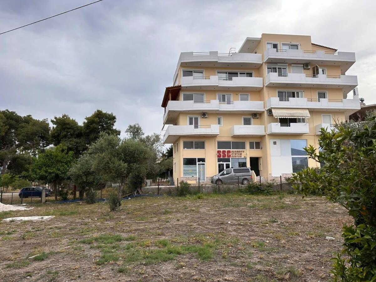 Vergian Brand New Spacious At Apartment *