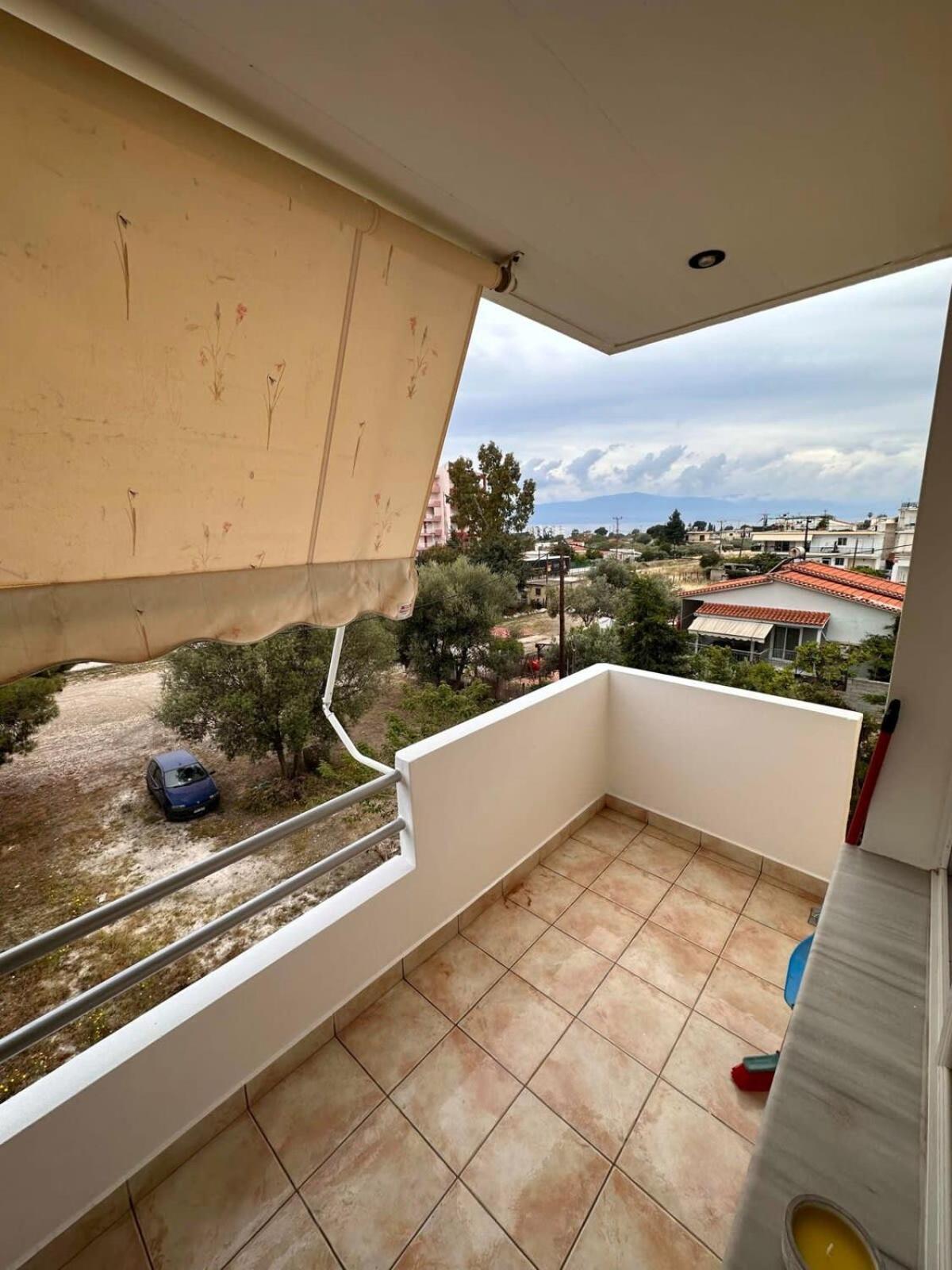 Vergian Brand New Spacious At Apartment